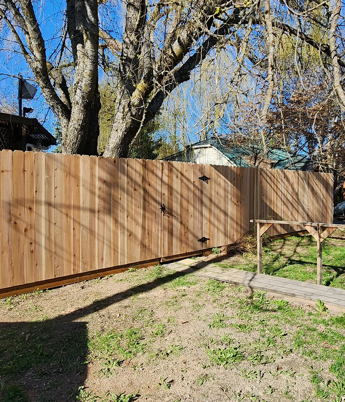 Cedar Fence