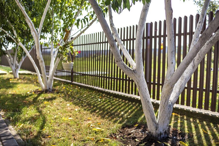 Garden Fence