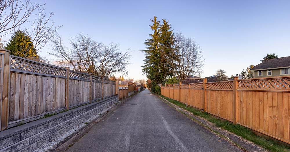 Cedar Fence