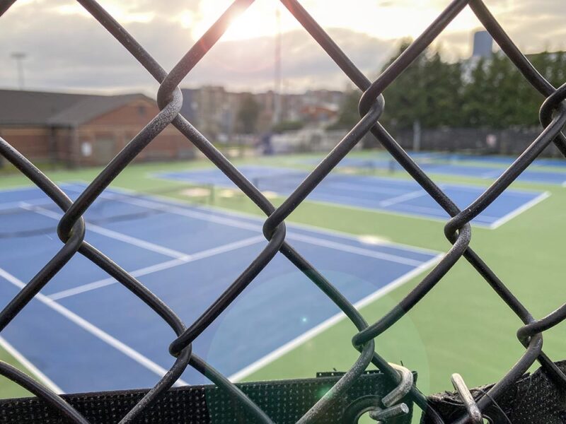 Chain Link