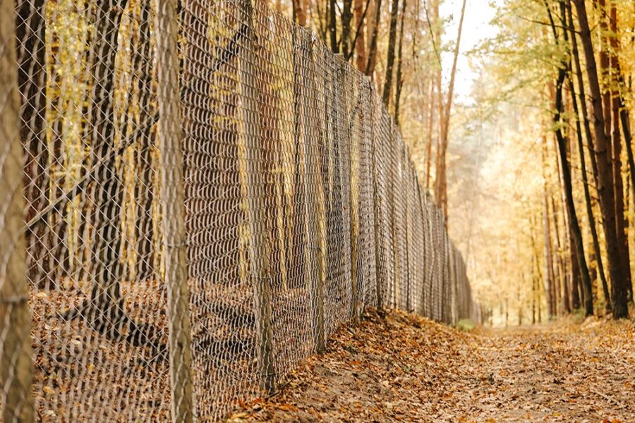 Chain Link
