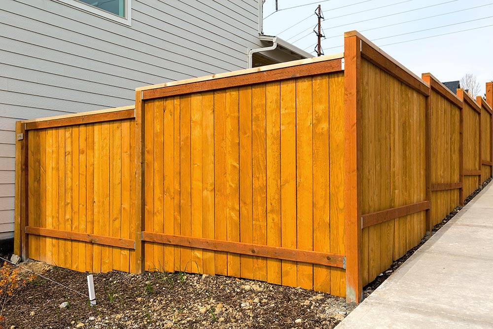 Cedar Fence