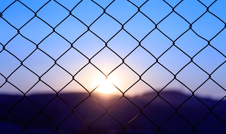 Chain Link Fence